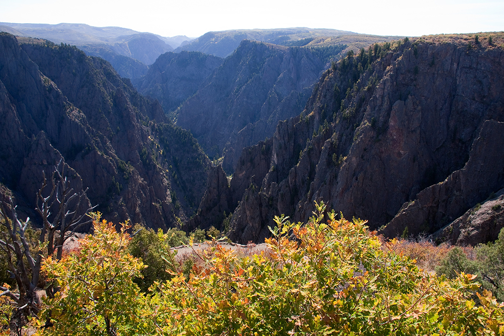 15_Black Canyon of the Gunnison South Rim_10.jpg